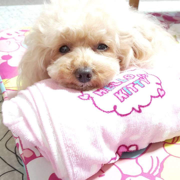 Faa0d61d 4832 4a0a 8e20 049f881ed466 1567043522940