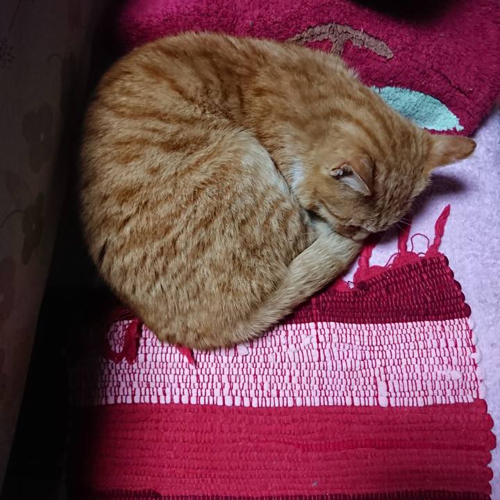 Faa0d9de 31f5 44ad bdd8 d0468df5416d 1554110248498