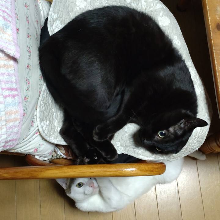 Faa0ed68 3a20 4df8 9532 756b6b61ebea 1666340170858