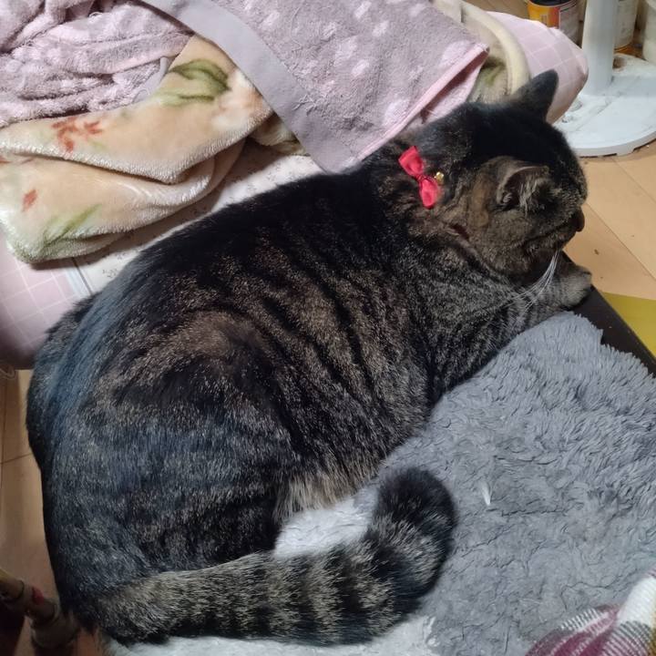 Faa10229 cc92 4d7b 842b cffcaee244ca 1669852069574