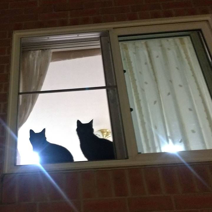 Faa1058b 2a09 4689 98cc 2ad57adfae42 1566531043491