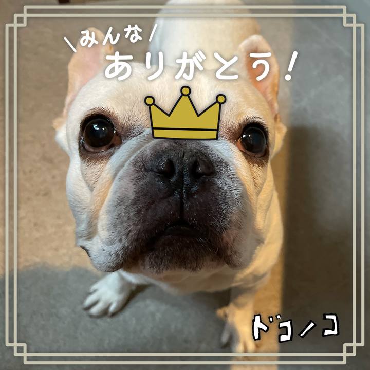 Faa16740 943e 416c a0ee 618efa9b45e2 1623131652154