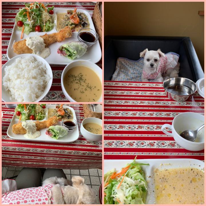 Faa1768e f1ab 41f9 b270 13f4d67d7227 1591417209034