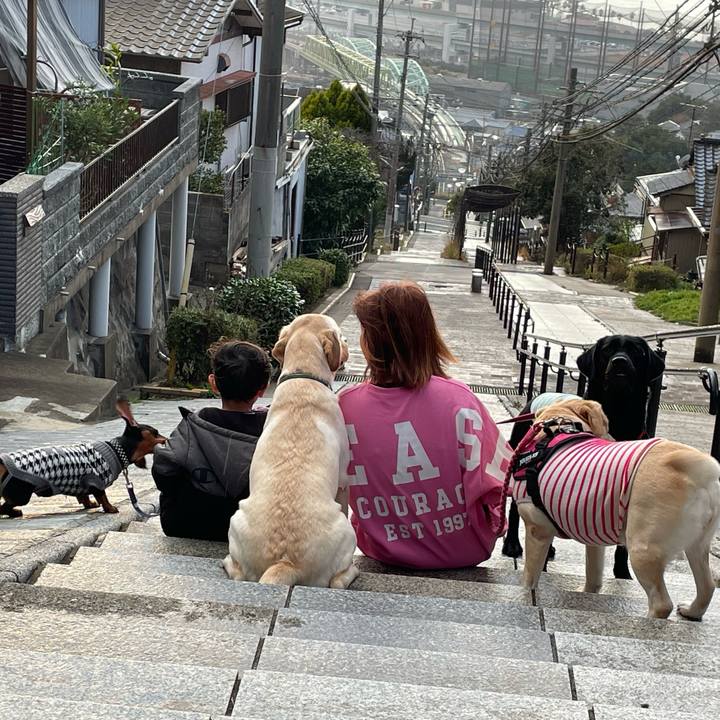 Faa1925d 1896 4468 b17c a5179d68d1b6 1673253028763