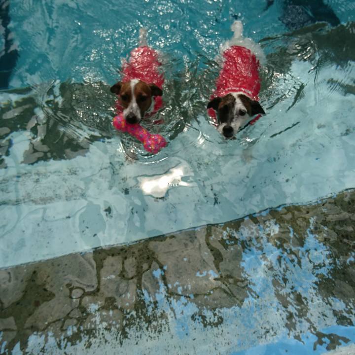 Faa1a04f cbc5 4bab b646 5216ba7356b5 1566720286639