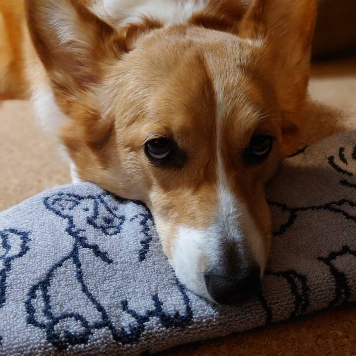 Faa1a4cd 4391 401f 8397 b8ba65c09603 1771068873544