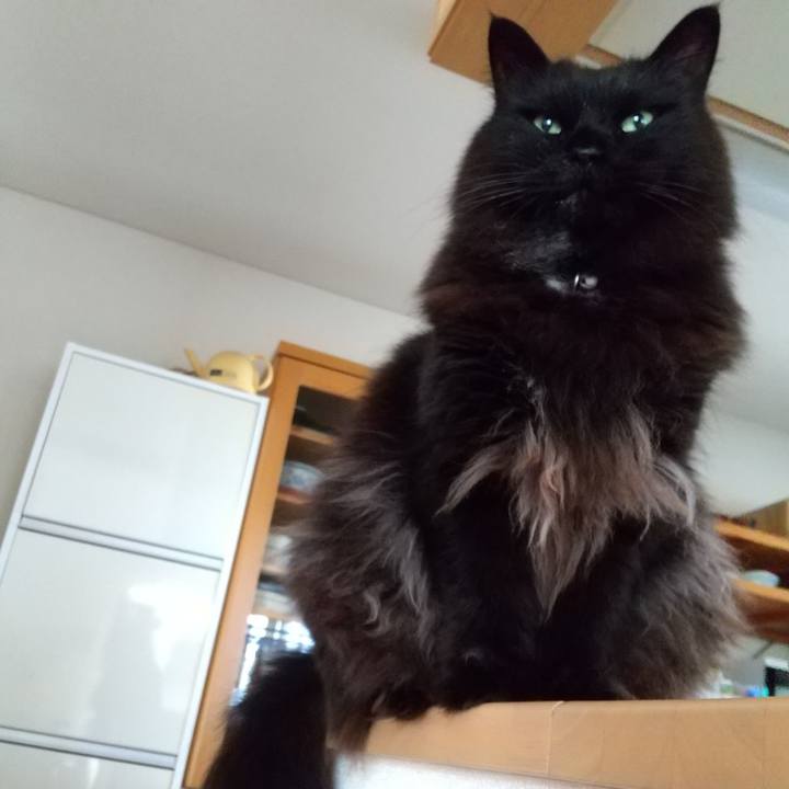 Faa1a9b8 2138 438d 899c 6150026c372e 1621573927086