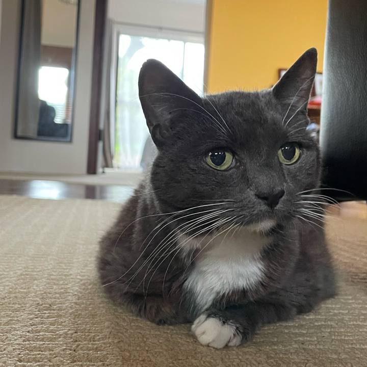 Faa1b723 1fa1 4f95 a24b fec4cf29f42f 1770941451989