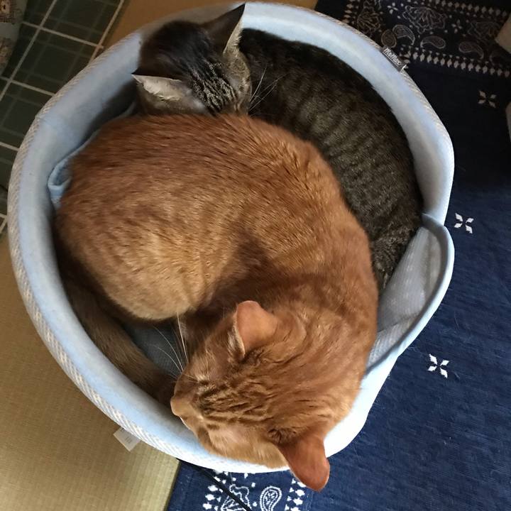 Faa1bd61 111b 44cd 8344 f062e5f0cf09 1559001063766