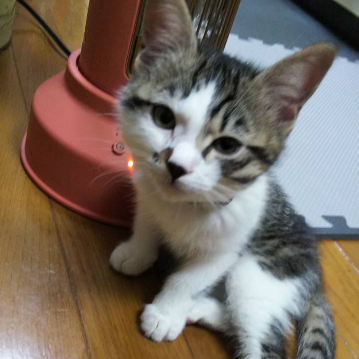 Faa1c782 3326 4258 bc13 26acd544c9e6 1607514009498