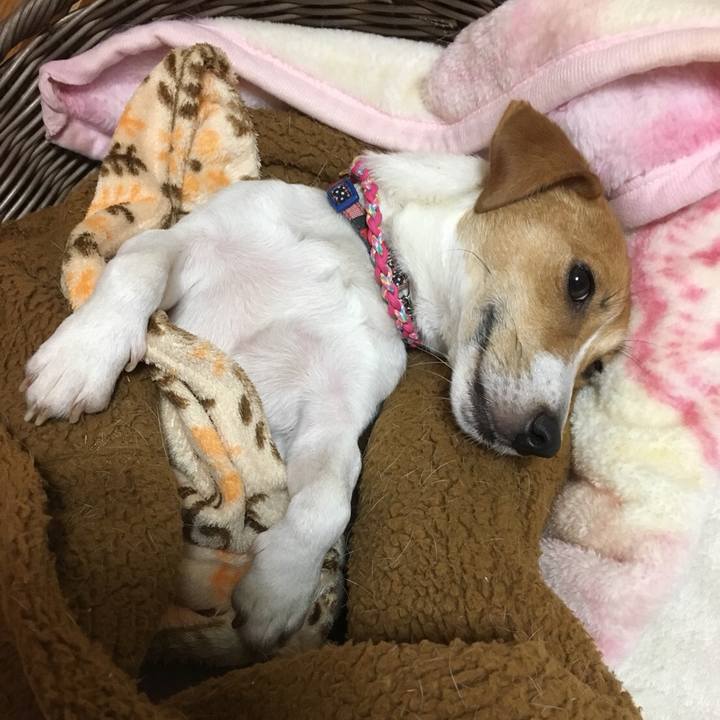 Faa20c27 efe1 43f8 a082 8dfed3288560 1511006638321