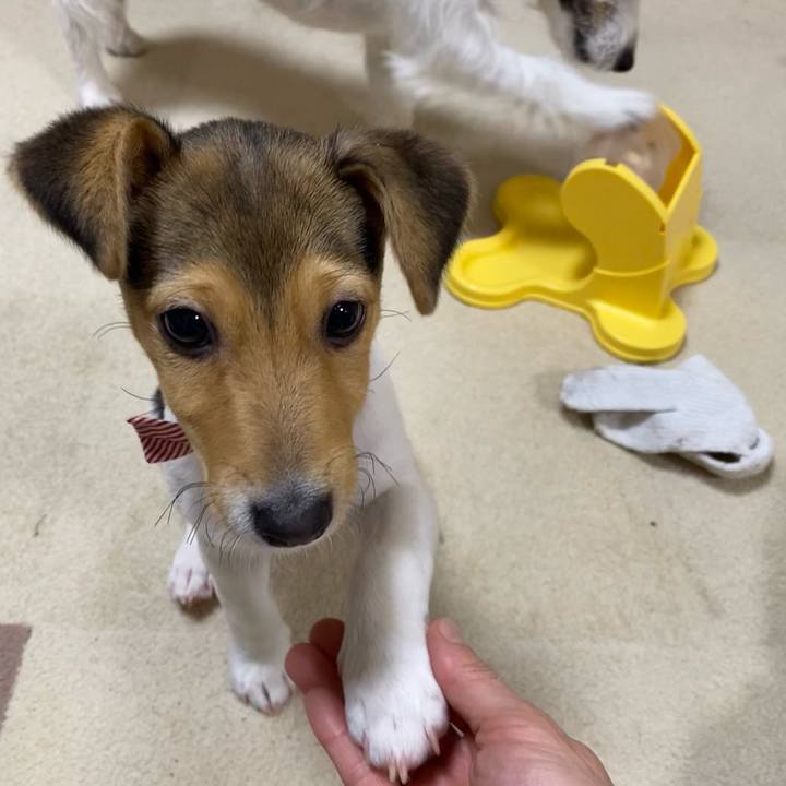 Faa220b0 a049 4515 afbe 976d5356ffa9 1744545746543