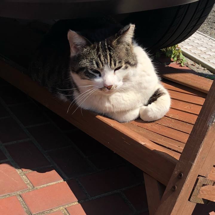 Faa224fd d62c 4106 963c 4fb4b87b7869 1521963436519