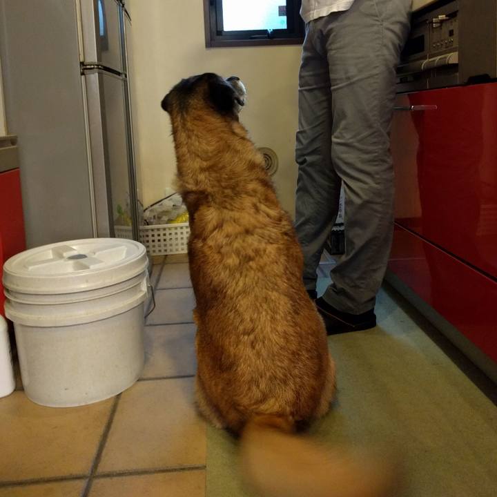 Faa2305a 1c31 44fc a6b7 a0762ad6cb4c 1686271110013