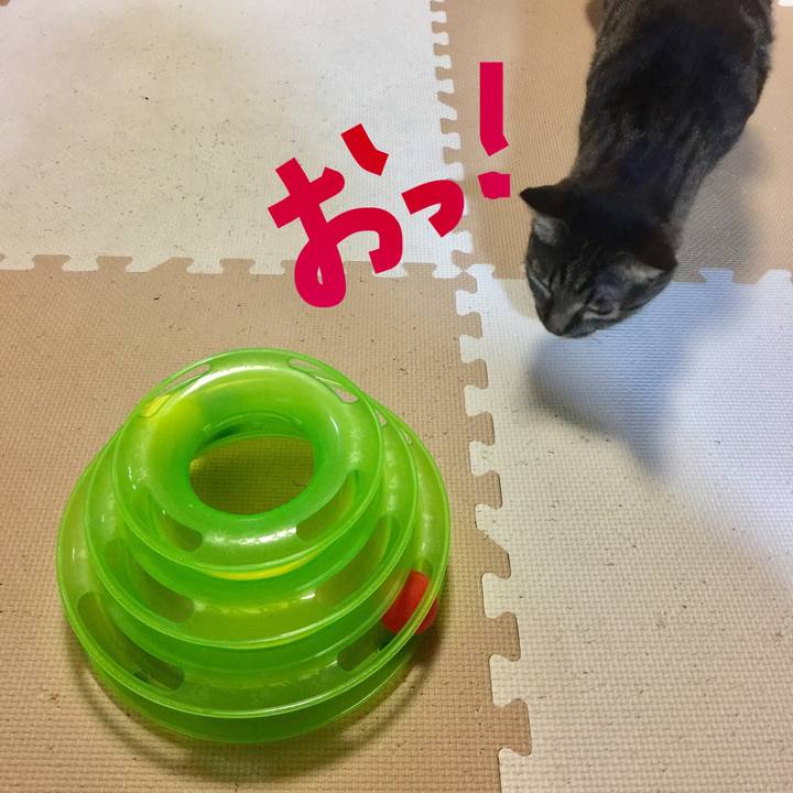 Faa24745 24f1 410d a994 8d71d9377cd3 1519989941351