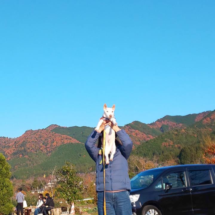 Faa26e17 f4ed 4eb8 b357 63aa972c35fe 1575185147547