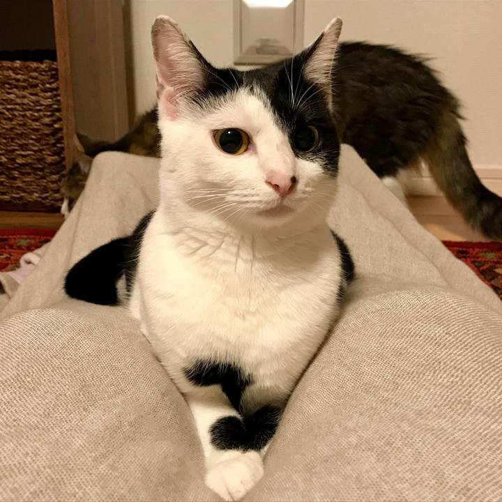 Faa2d74a fd69 42e2 b1c8 f47952c3d874 1509886806161