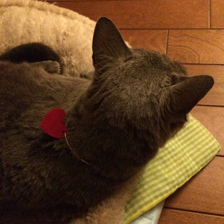 Faa3061a 7afd 43fc 96e0 c7da58719a3a 1519562326204