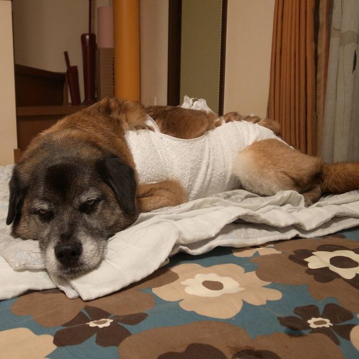 Faa30899 8839 465c 8f7e f18623e4a1a3 1585832444175