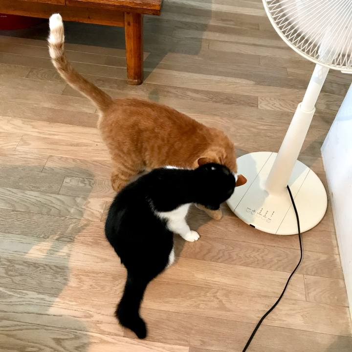 Faa33699 eabd 4bdf b111 d1fd07a47598 1532753801734