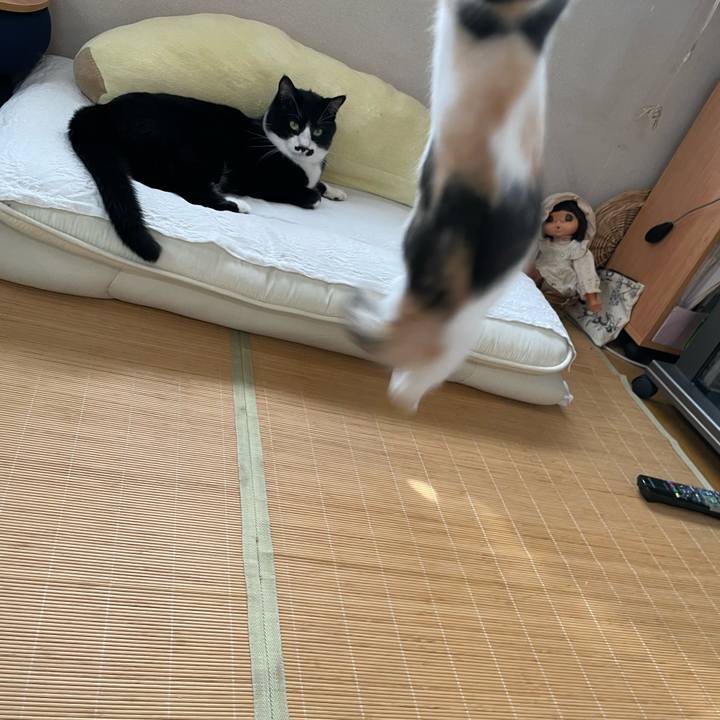 Faa33c59 249f 40b1 9c6d 43c35602d132 1658875337594