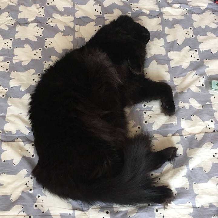 Faa36a25 6531 4a27 b2e8 cdd0cf3a2259 1523061478170