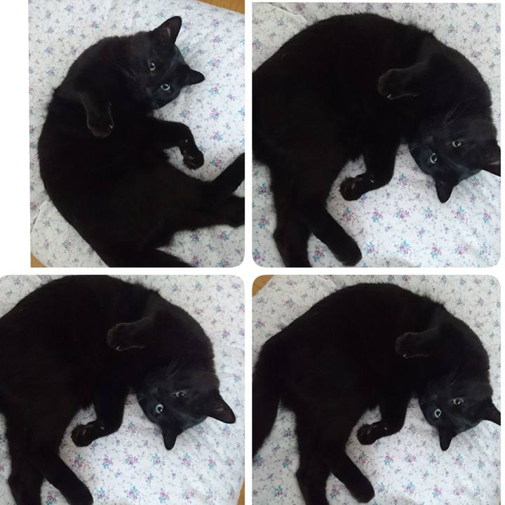 Faa3850b 4fe9 47e1 8795 c83cf5144fb4 1557651205570