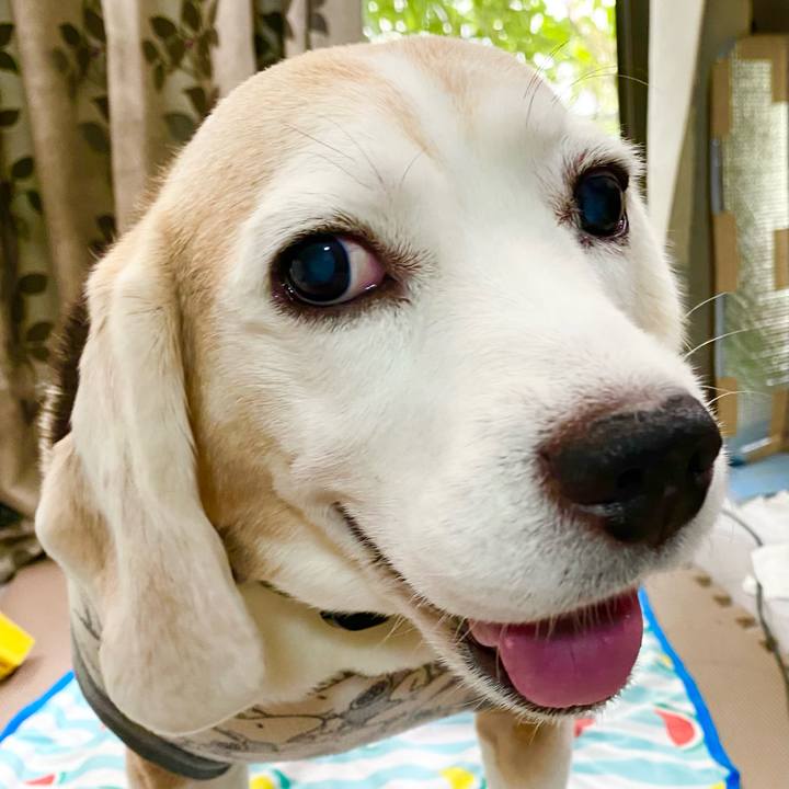 Faa3a1b5 456f 4201 9700 a5c5206d2707 1663214525331