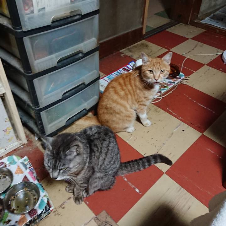 Faa3a9e8 0b85 4df4 b66e b8c72baf18ac 1592648896159