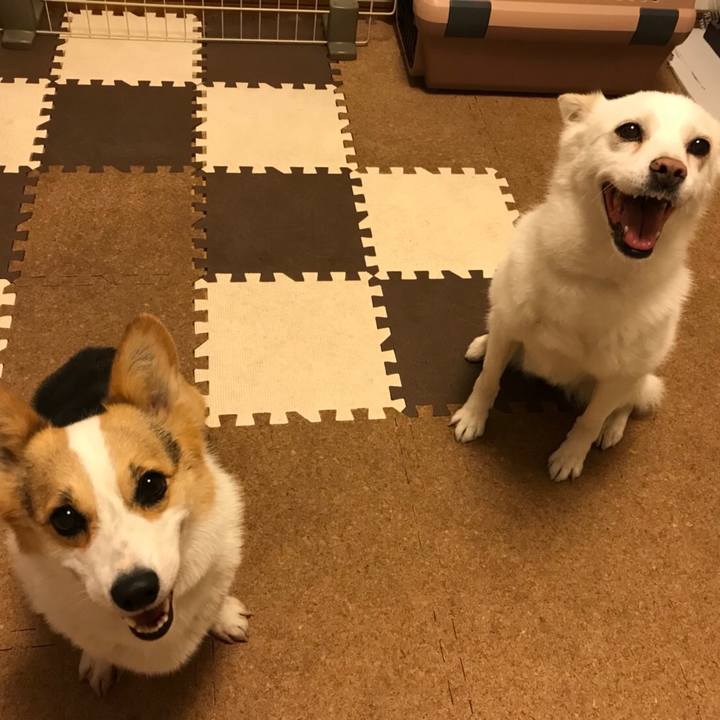 Faa3d7ee 8ca7 47d8 97e8 3c596bcb6463 1529758670532