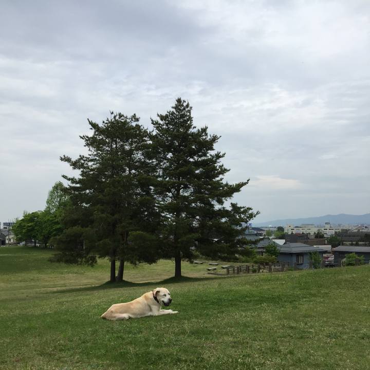 Faa3db5b 7c6a 452c bcb9 c1231963e7bc 1620208751163