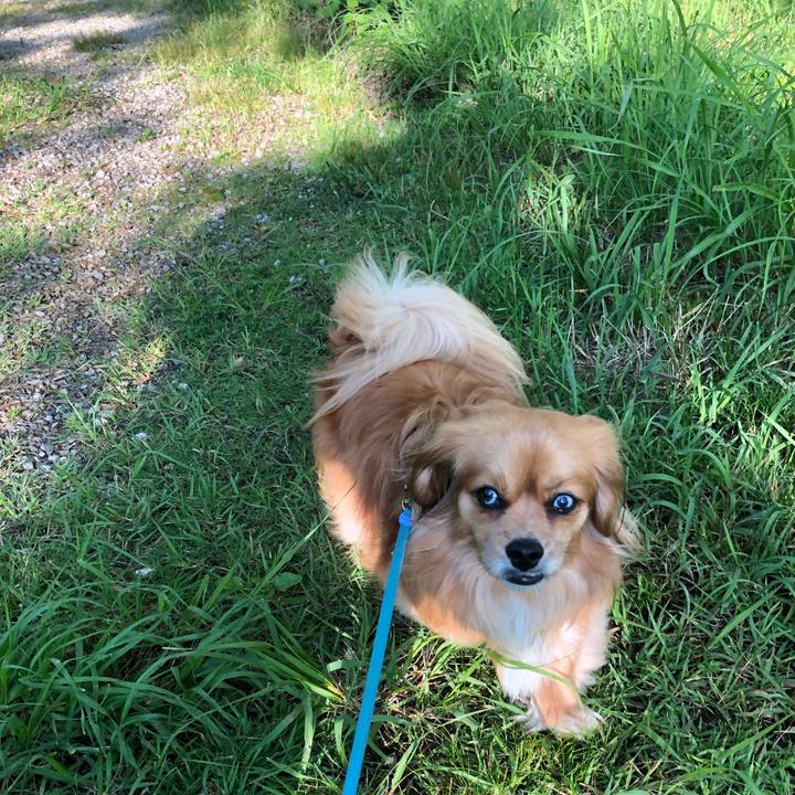 Faa41e26 2a9e 489b b09f 1647907ac29b 1560807922829