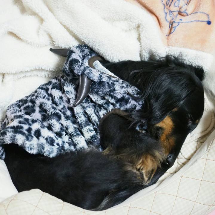 Faa42a39 abf7 441e 83bd 9f710d4cbc75 1550550324815