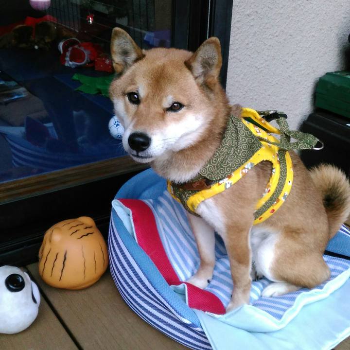 Faa45b48 c79b 46b9 8347 95621c3866e0 1513234822025