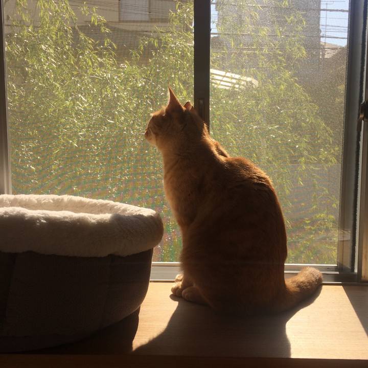 Faa46031 8169 41c4 a206 0f5019bf1196 1555119206146