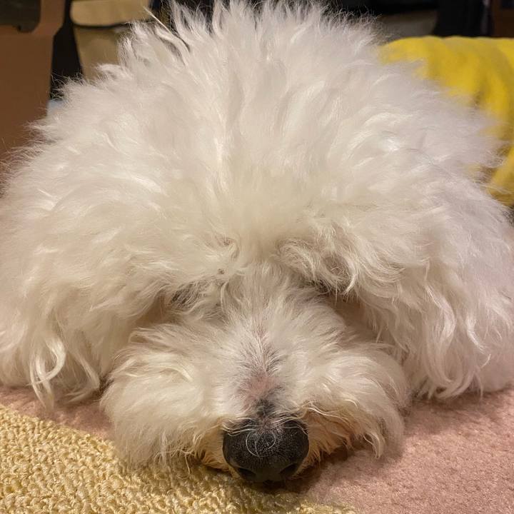 Faa481b6 1fe6 43a8 ab2e caddee471a91 1728564418128