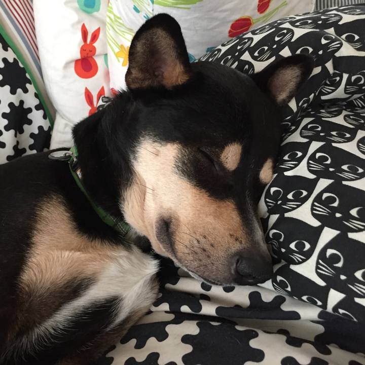 Faa486ea b22d 4eea a810 3f39602c8340 1542780558522