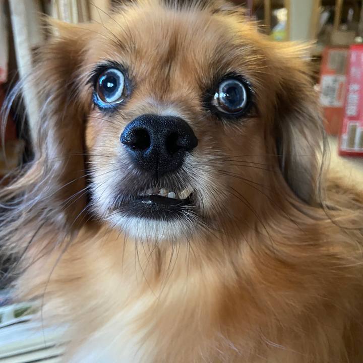 Faa48911 5f43 4329 8d0a de7bd5dd6088 1663711059293