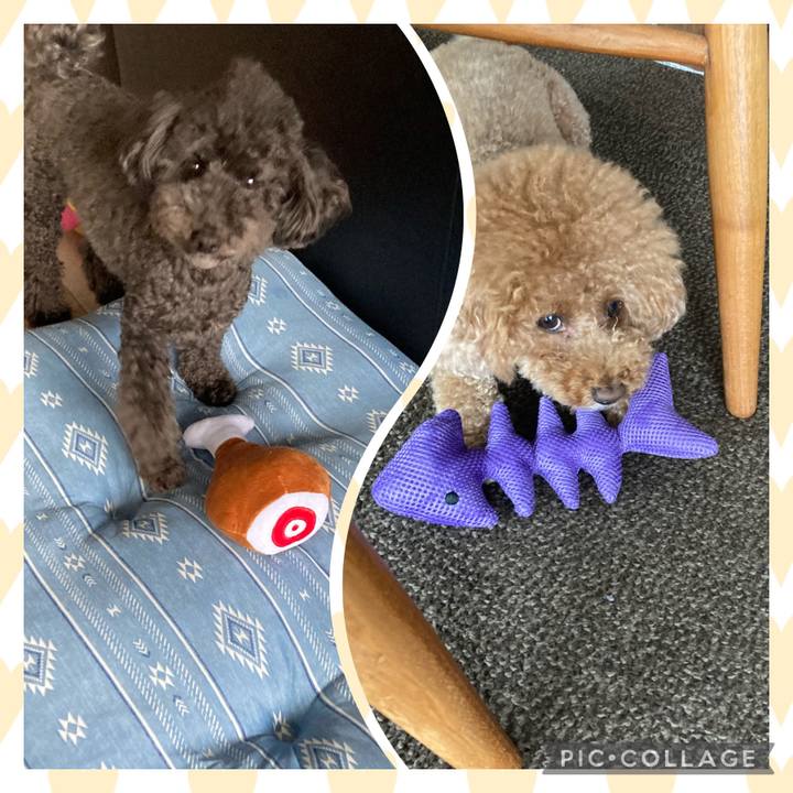 Faa48989 7c0a 4906 9ef2 83e245d8577d 1625922279673