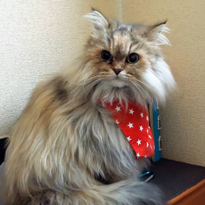 Faa4ab18 2471 4ad5 91fb 2814f01d94f1 1672095287041