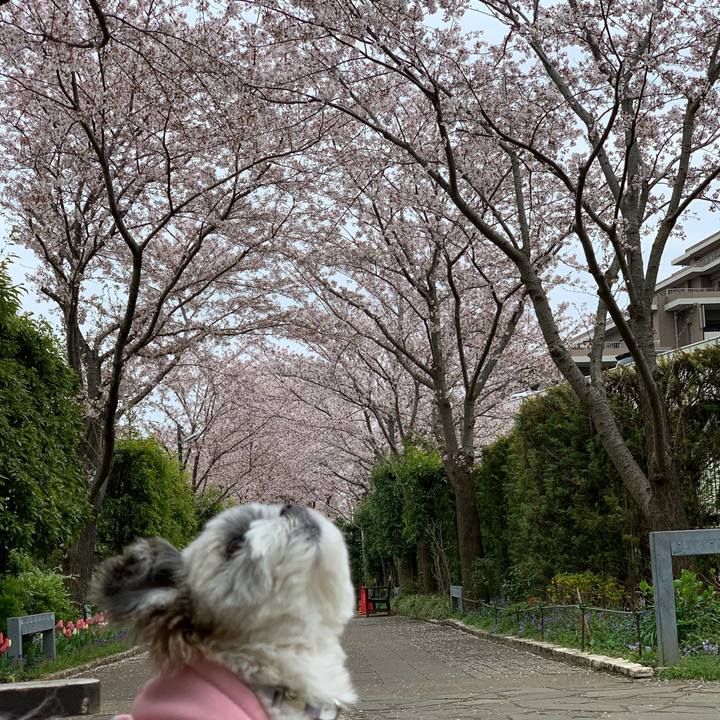 Faa4b3ac 612f 4d4f ab5a ffe4eb7c3aef 1585559695154