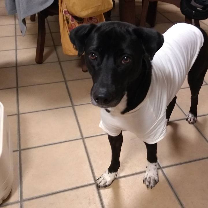 Faa5182c b30c 431c b217 ba4bcc0ca286 1618052318649