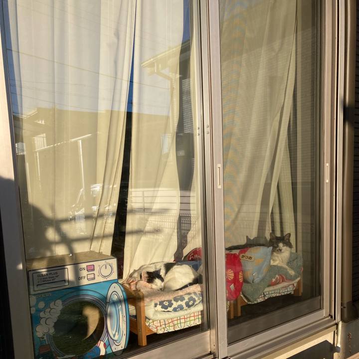 Faa51882 ecdb 4cbb a6ae b7eb2d4800e8 1769930331445