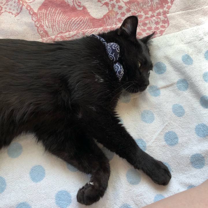 Faa53663 5497 4aa0 9aea 29203fd9a057 1557695446136