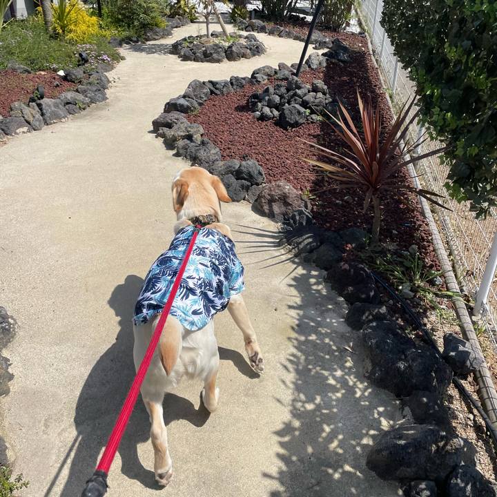 Faa54c31 ea2c 4c65 9082 bf0712127fca 1649221872101