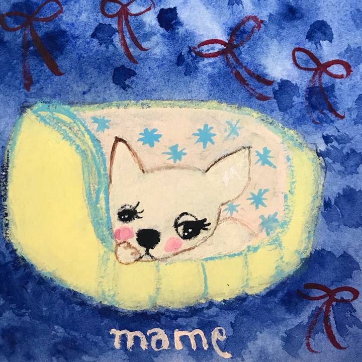 Faa54cb8 cd76 4ad8 8692 1cc080b0fc60 1637645251777