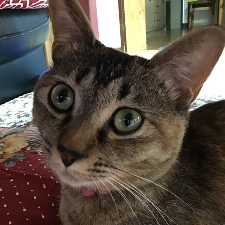 Faa55679 07e0 49b4 8b71 524c27e8c1d8 1592104688728