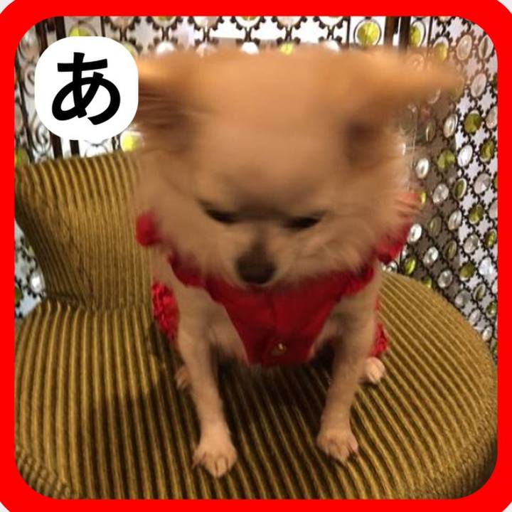 Faa59b53 7fe0 41e3 97b1 509959c8aca8 1515197969713