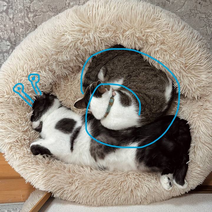 Faa5ec96 26a5 427b 9afa e4cd137555ff 1769408178078