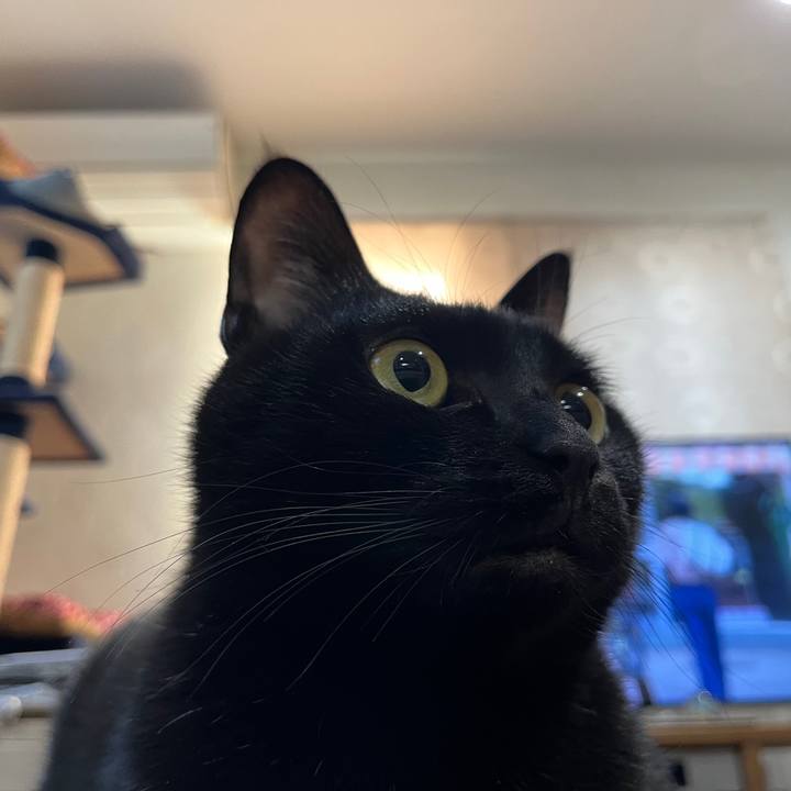 Faa5f446 10cb 49e7 a874 bfbdeaf3f002 1645452595214